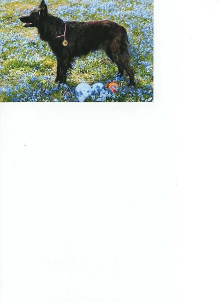 Hertogin Hadewych v.d.Rozeborgh