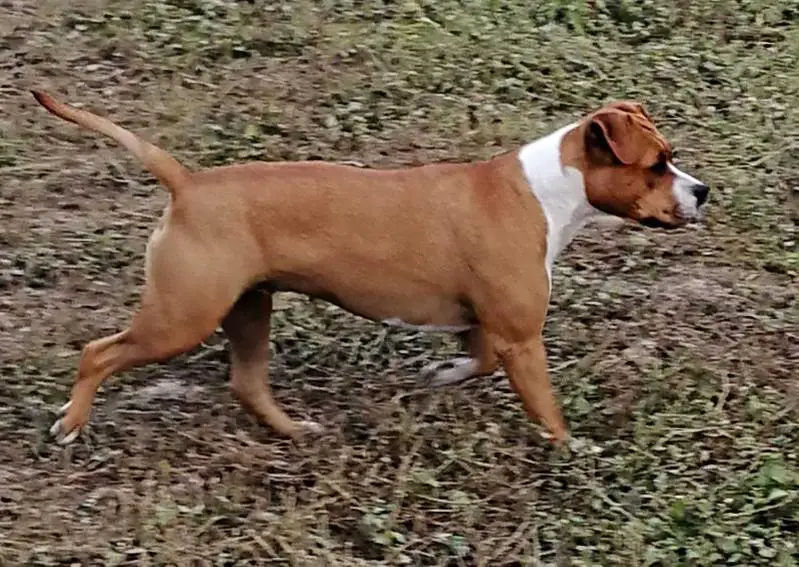 MZT'S ALL ABOUT EVE MARTA