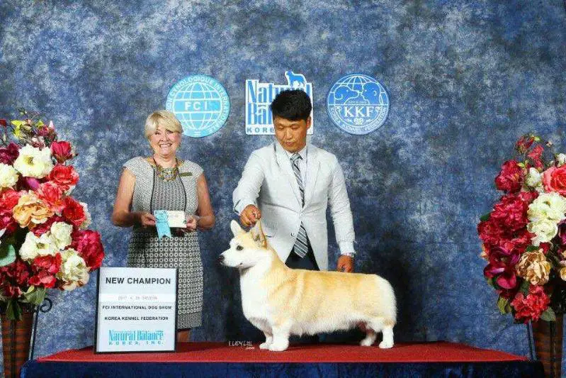 KOR CH CARLINS SHALL WE DANCE