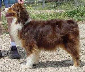 Heartfire's Ready this Time