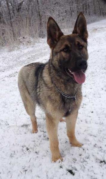 Fama Von Der Jubricht