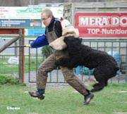 Sascha Nora v Assenrade