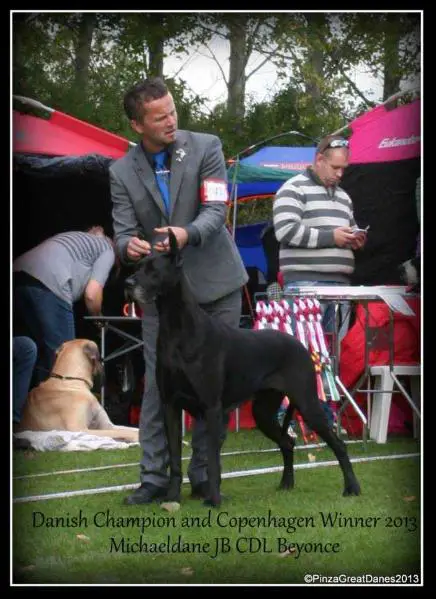 Michaeldane Jb Cdl Lena Horne