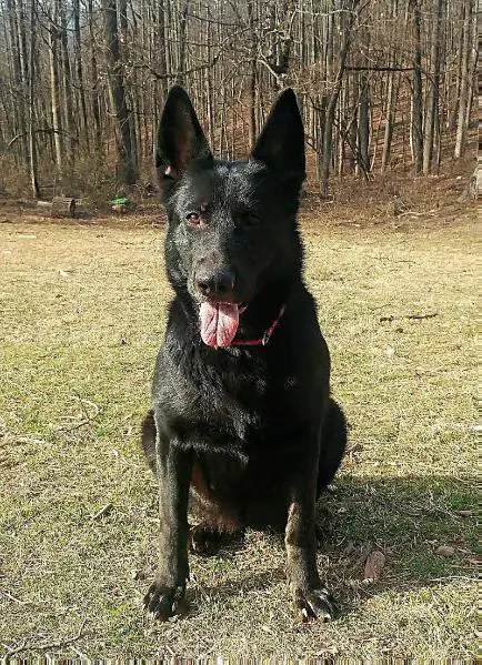 Katarina Vom Vanorsdale