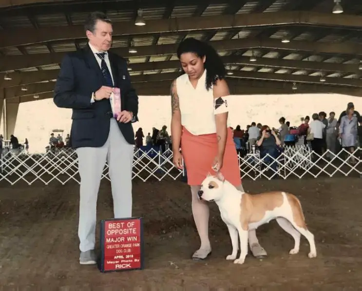 AKC CH Lelani's Everything Nice