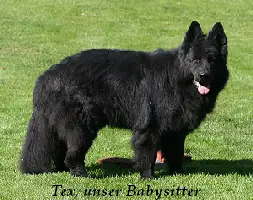 Tex von Fortuna