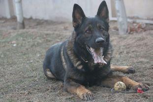 Belmond aus der Königshöhle