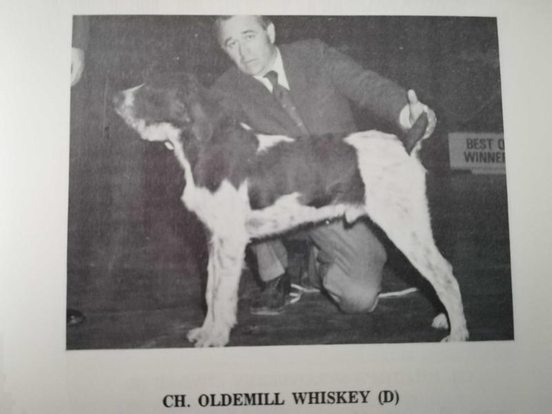 CH OLDEMILL WHISKEY  (D)