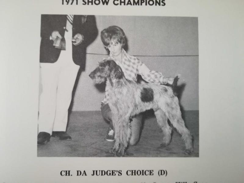 CH1971 DA JUDGES CHOICE