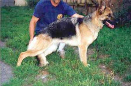 Ciola von der Ostfriesischen Thingstätte