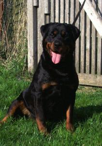 Witchita Vom Kummelsee