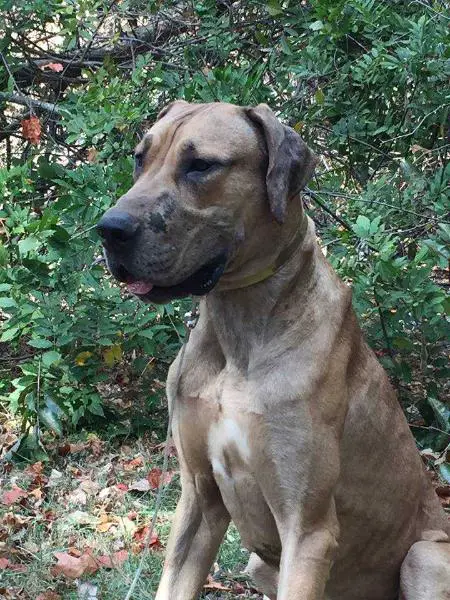 Swampside Get That Spyder Outof Here