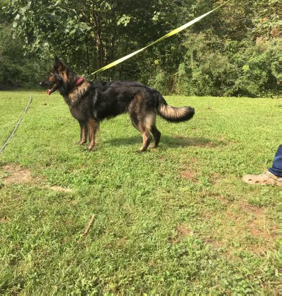 Miss Foxi Nakita Kay