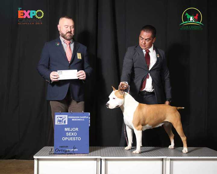 MULT CH NALA SOIRE (CARDENAS)