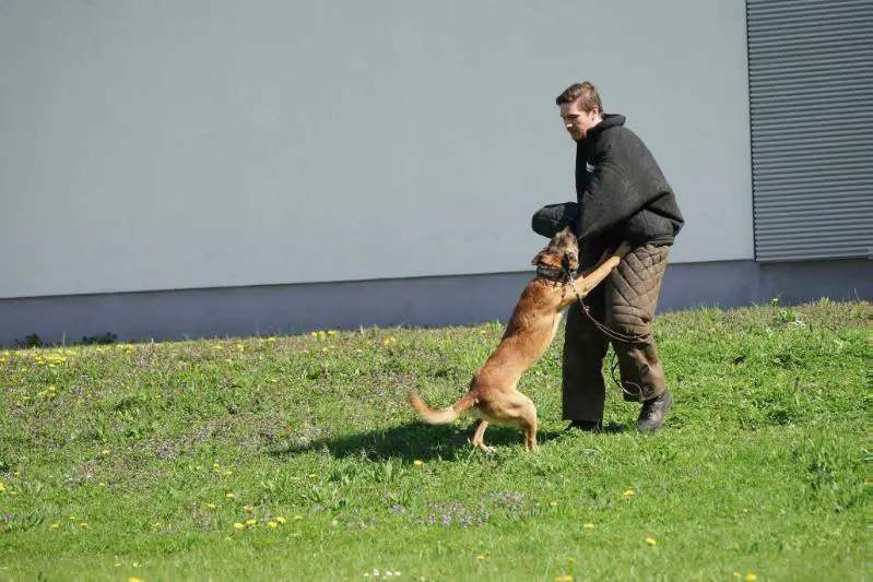 Harko de la Plaine des Cheyennes