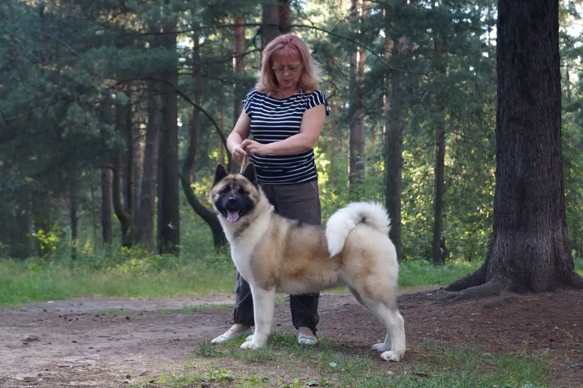 StyleSign Victorious Secrets