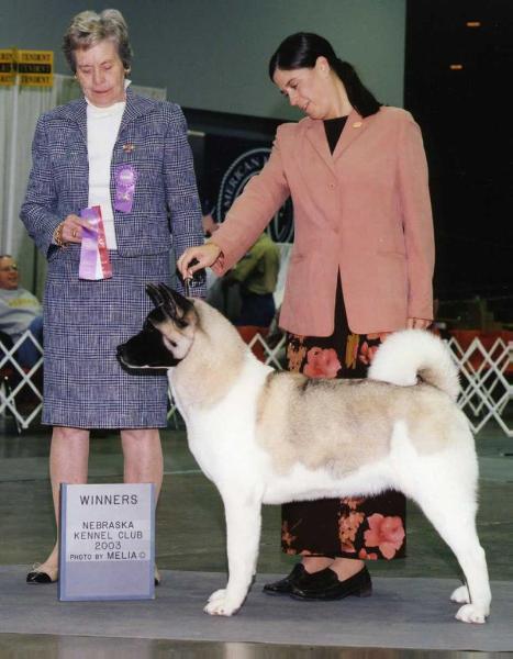 AKC CH Chereed's Whispering Lover