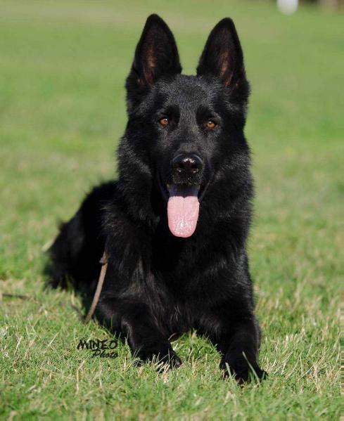 V Jaimi vom Gräfental