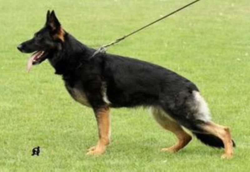 2018 2020 MM CKNO Hifi Mapes