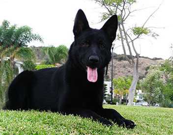 Kira Casa Montenegro