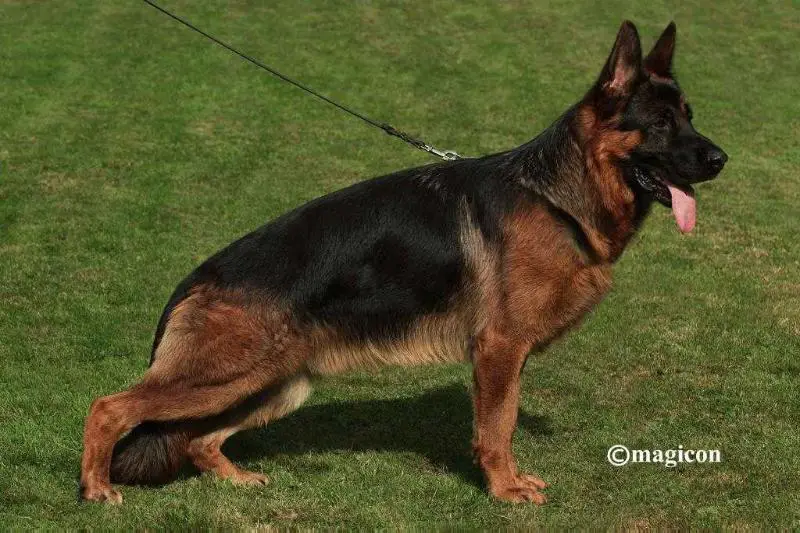 SG1 BSZS 2018 Tango vom Klostergarten