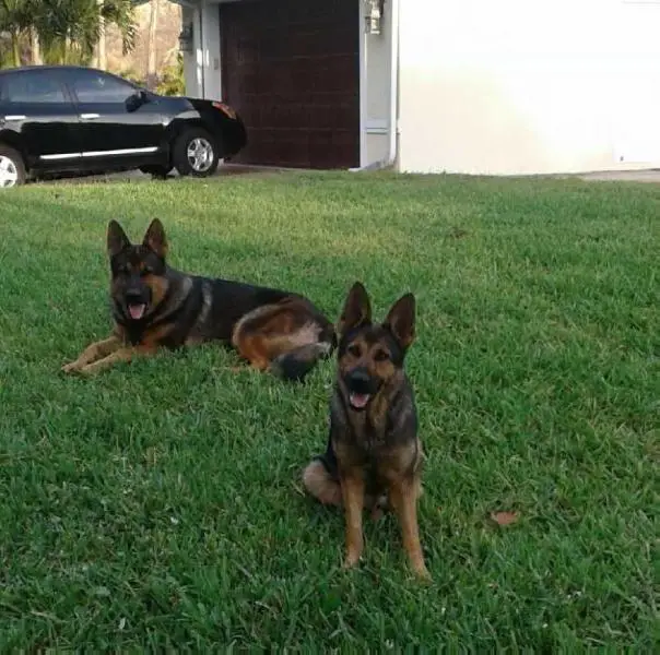 Sascha Hernan Van Rossland