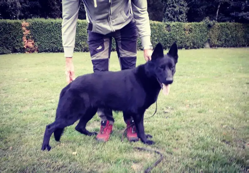 Cher v.d.Ronden Hoek