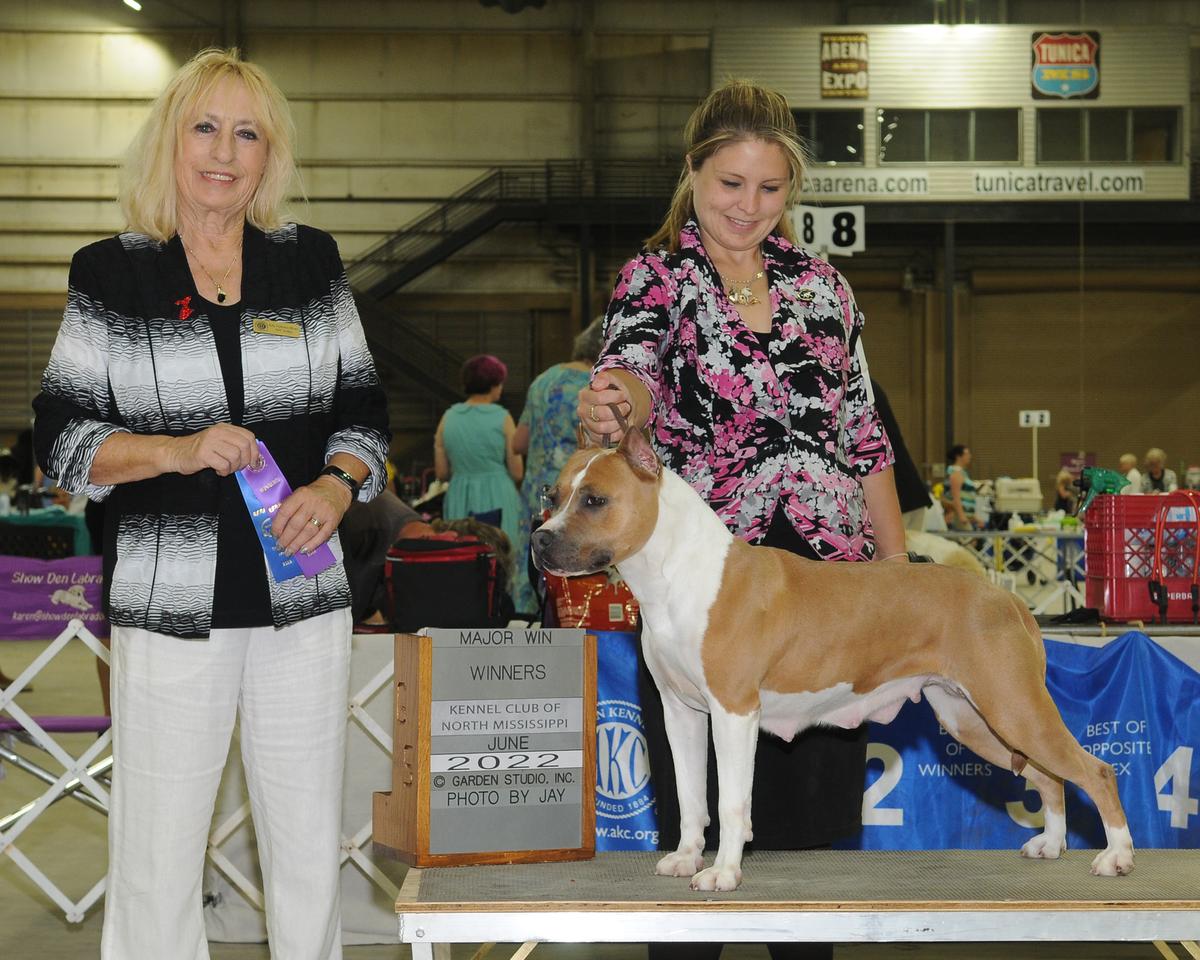 AKC CH SkyBlue Katet The Memory Remains