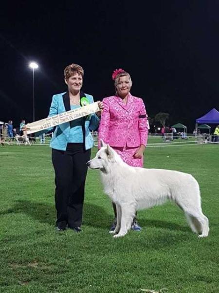 AUSTRALIAN CHAMPION Soverenpark Charming Casanova