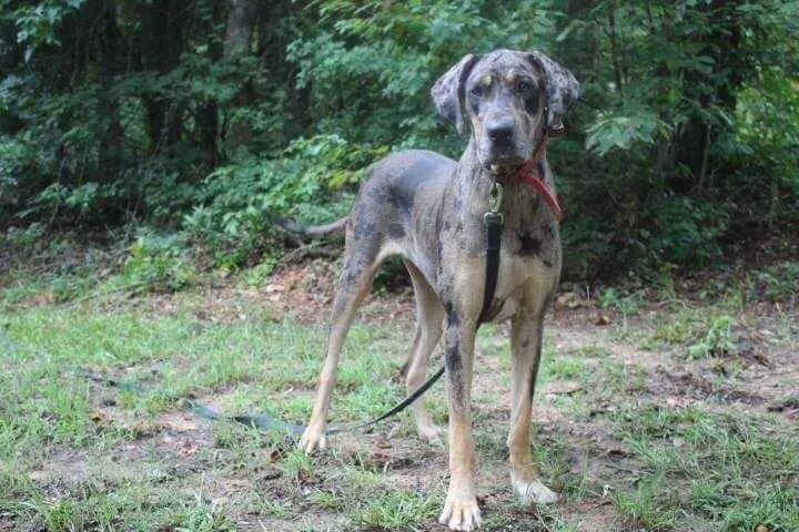Swampside Wild Ride With Sunflower's