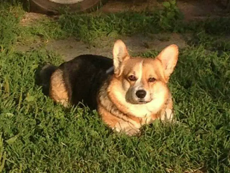 Face Factory Venezia