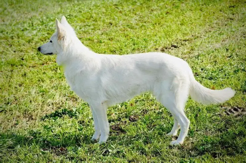 "Kyva" Ilusion de Kupal Kuyen