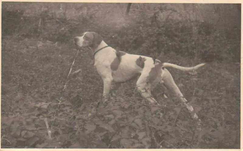 ROMBYS FIKS  \ FICKS