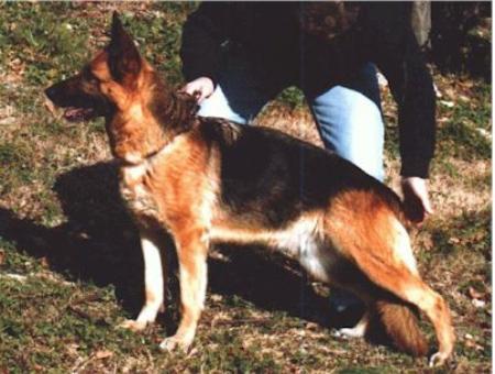 V Anka du Mont D'Athis