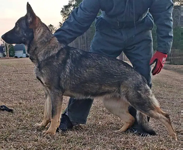 Nakia von Dunklen Rüstung