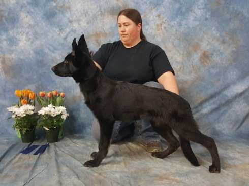 Granville's Five One Five Oh