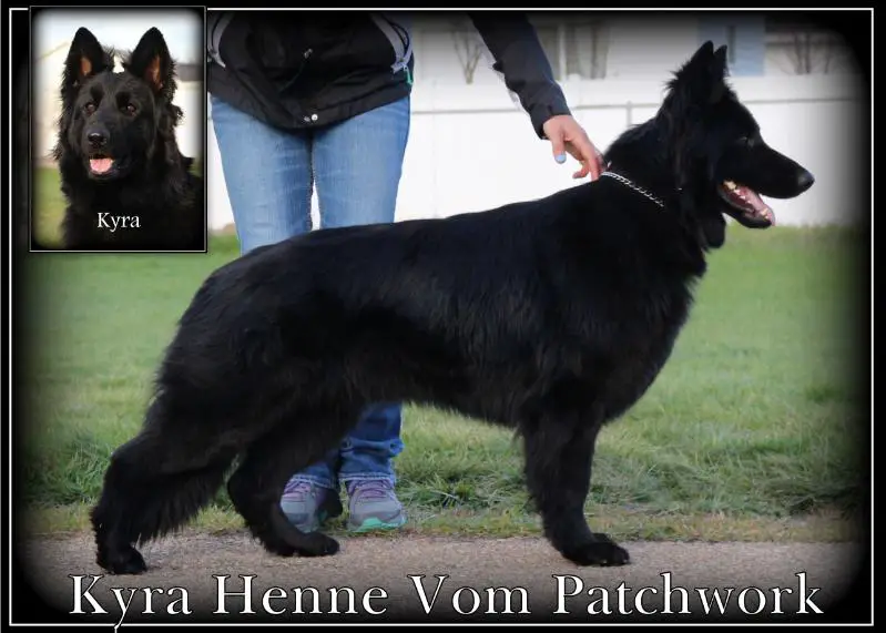 Kyra Henne Vom Patchwork