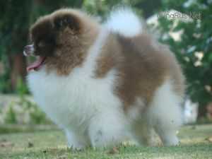 Finch Lord Sunshine John John Parti