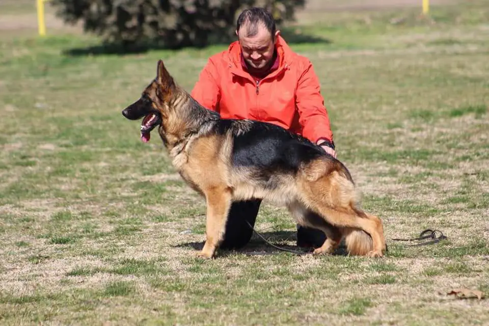 Hana Team Vardar & Jovanely