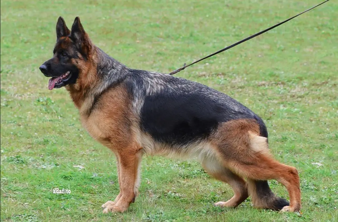 Maria JR Maria Stella Maris