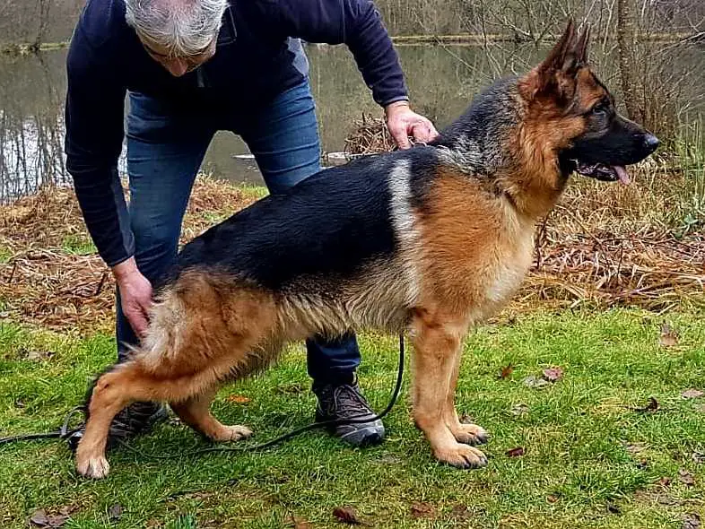 SG1 Zambo zum Gigelsfelsen