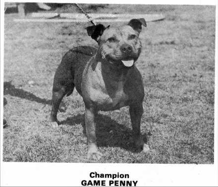CH Game Penny