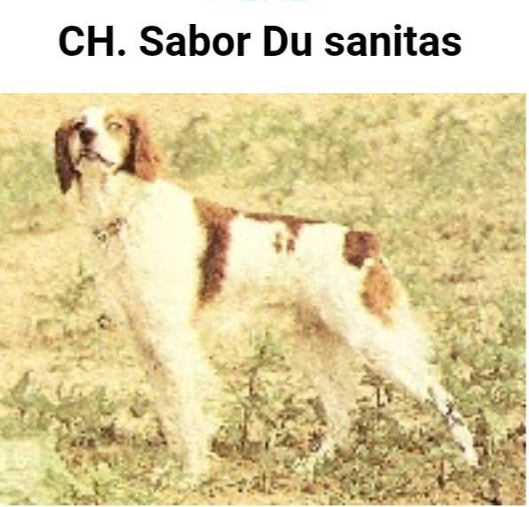 CH.CS. TR SABORD du sanitas