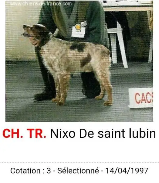 CH.TR. NIXO de Saint Lubin
