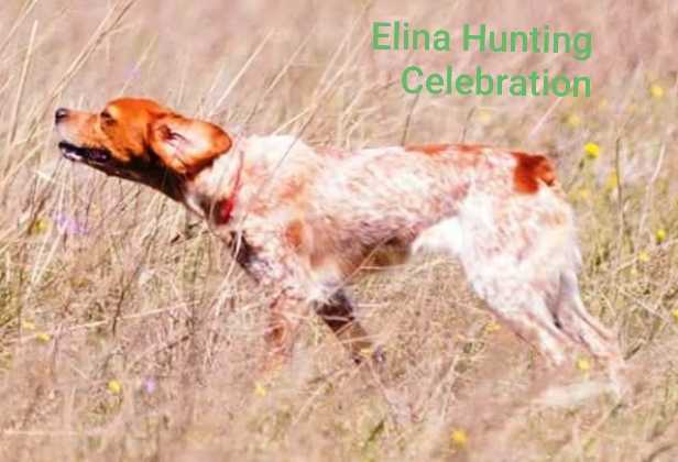ELINA Hunting Celebration
