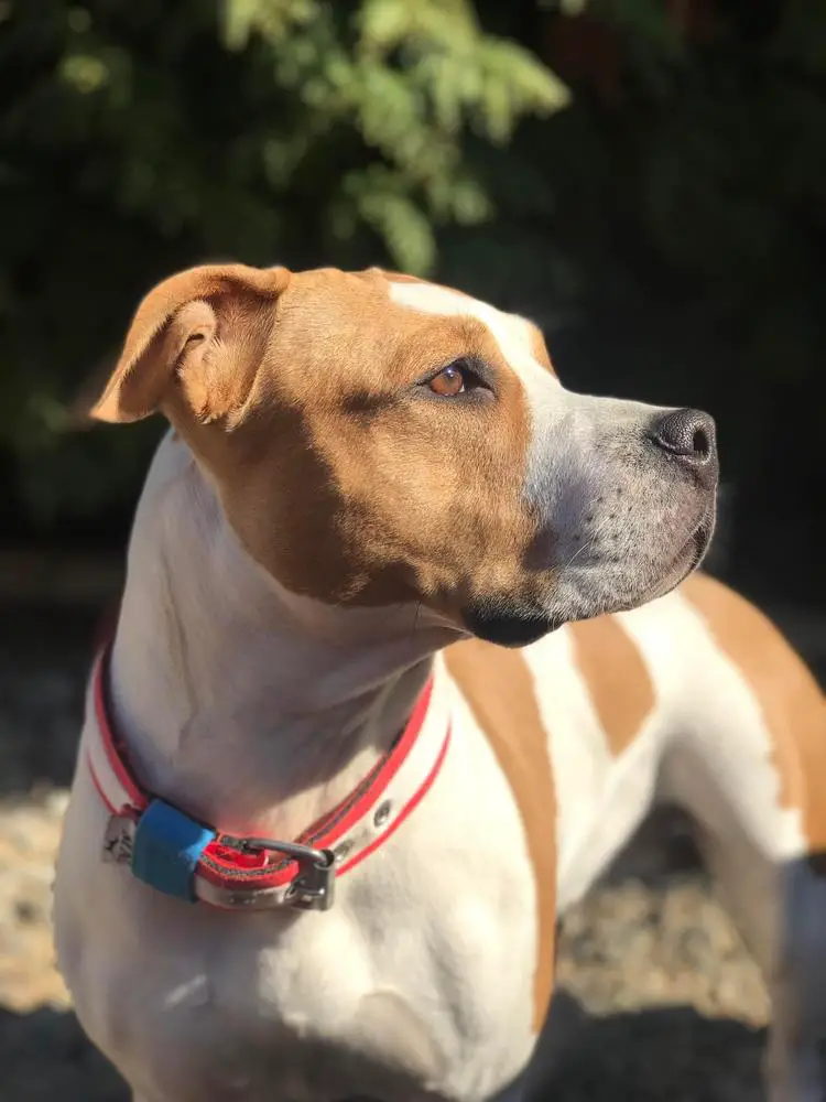 MISSOURI Presburg Staff