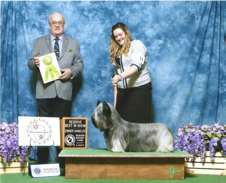 AKC CH/OH RBIS, RBIS UKC CH, INTL CH High Road Hunter's Moon at Falkor