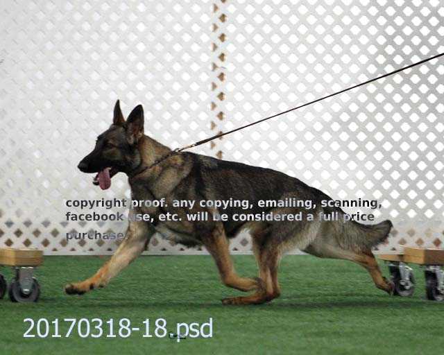 CH Peakes Brook If Looks Could Kill