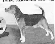 CH Double-Jac Doctor Dobby