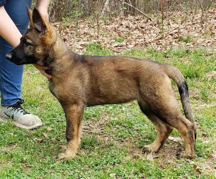 Blackthorn's U Owe Me A Soda